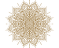 shape